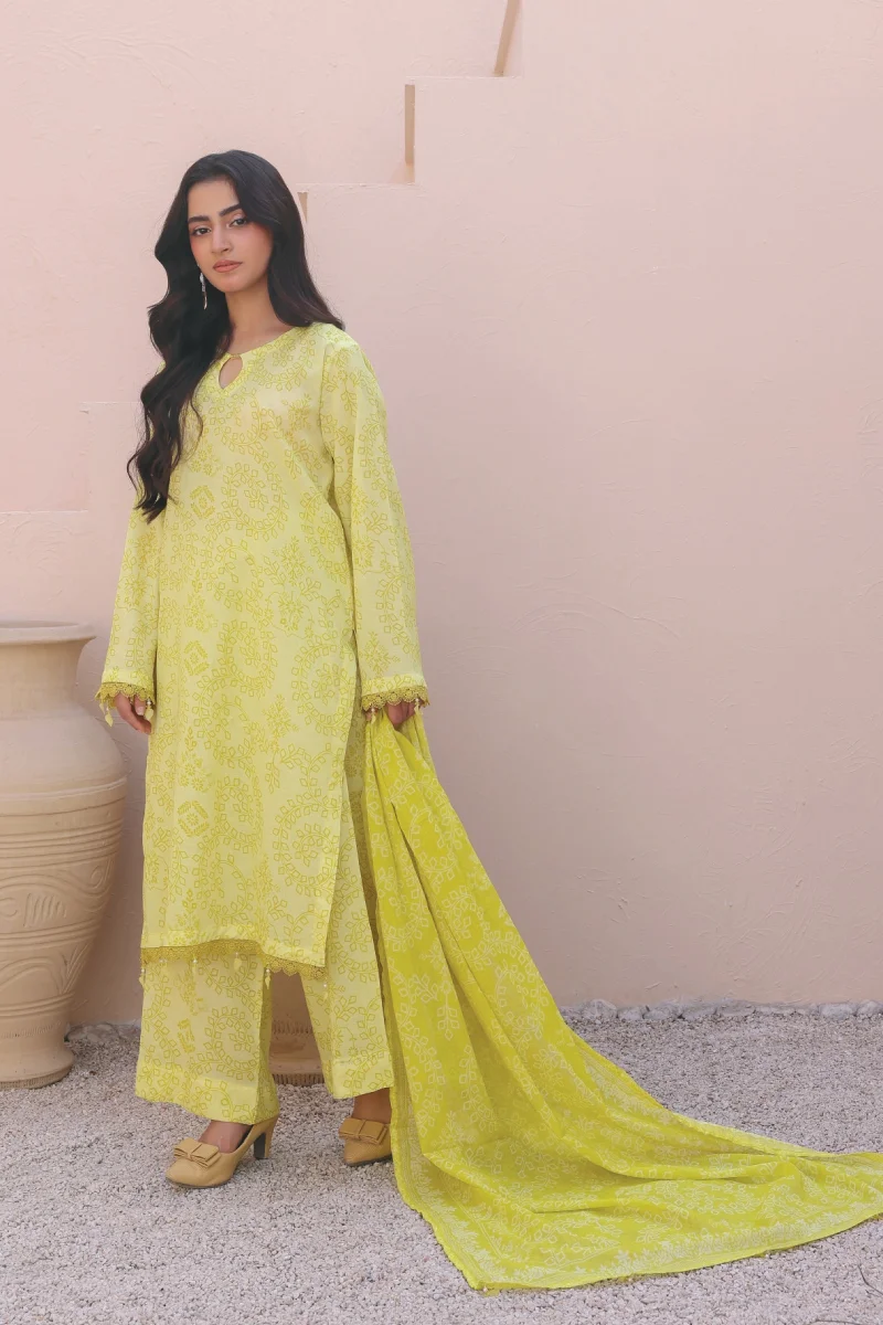 Bin Naeem Umber 3 Piece Digital Printed Lawn Suit