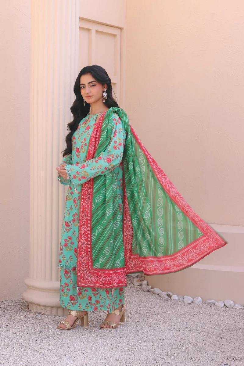 Bin Naeem Loom 3 Piece Digital Printed Lawn Suit